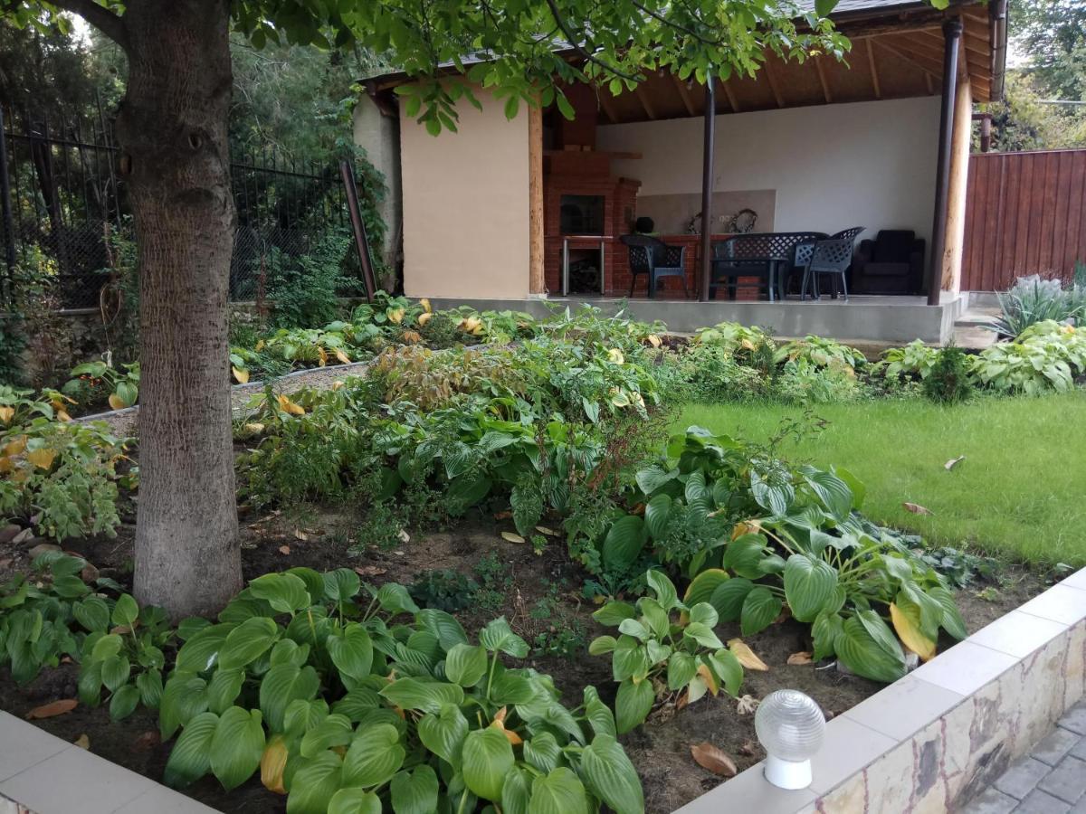 Slovac House With A Garden And Fireplace Kisinyov Kültér fotó